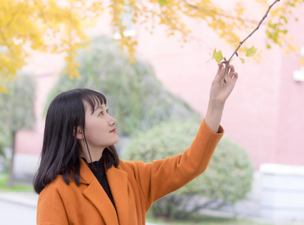 怎样办理菲律宾签证(签证办理流程详解)